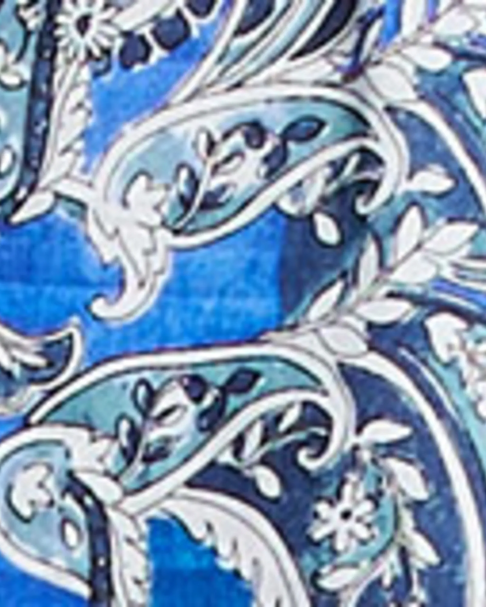 Hydra Top | Print