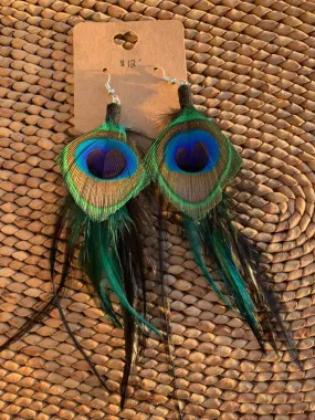 Peacock Feather