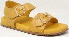 ZIERA HASTICE SUNNY